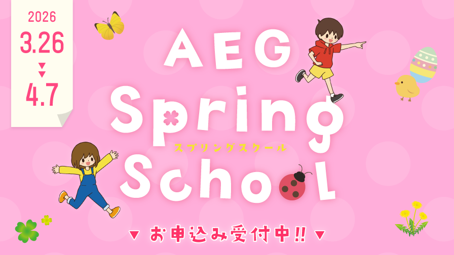 AEG Spring School, 2026 3/26~4/7