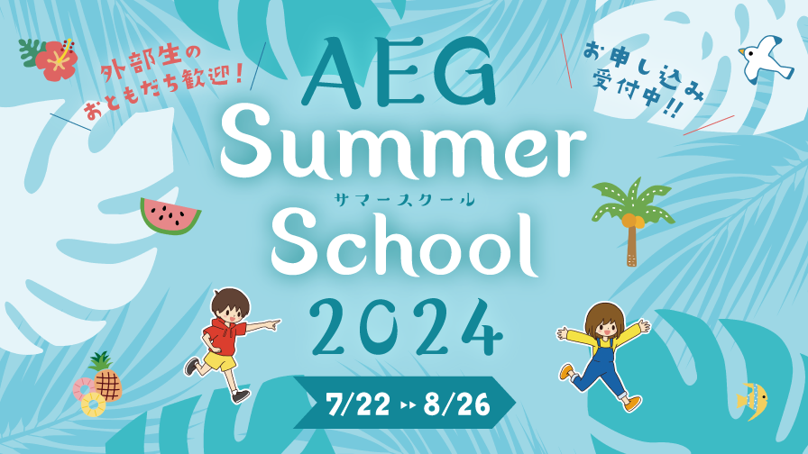 AEG Summer School 2024